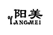 阳美