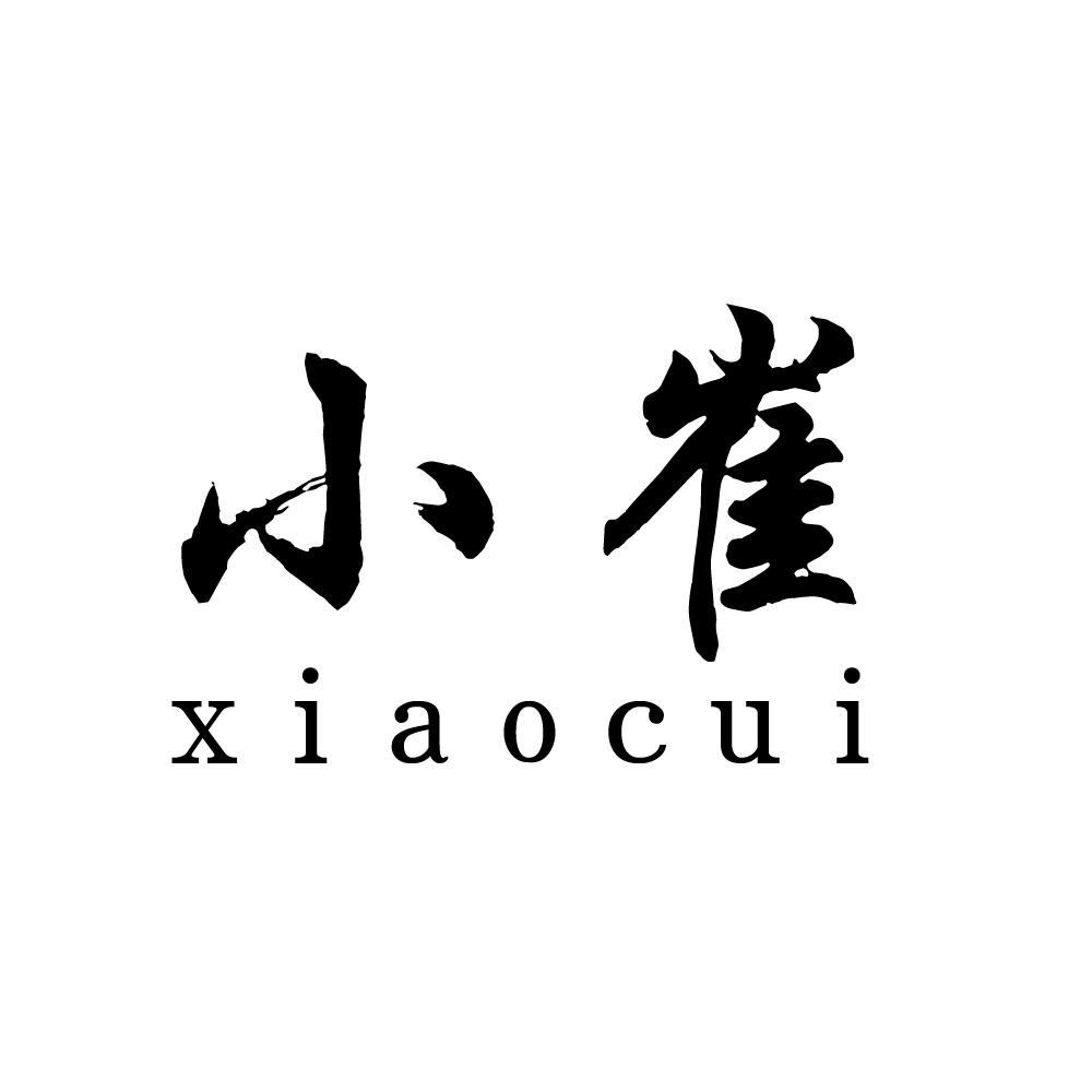 小崔说事logo图片