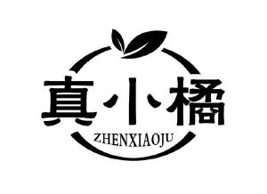 北京达利投资有限公司