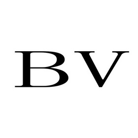 bv_注册号34939996_商标注册查询 - 天眼查