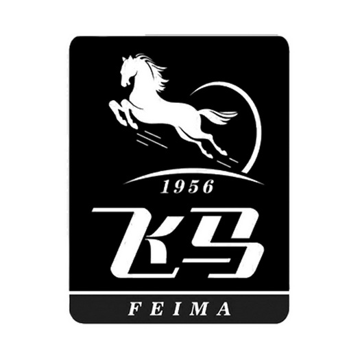 飞马1956