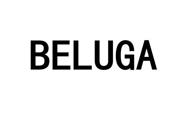 beluga