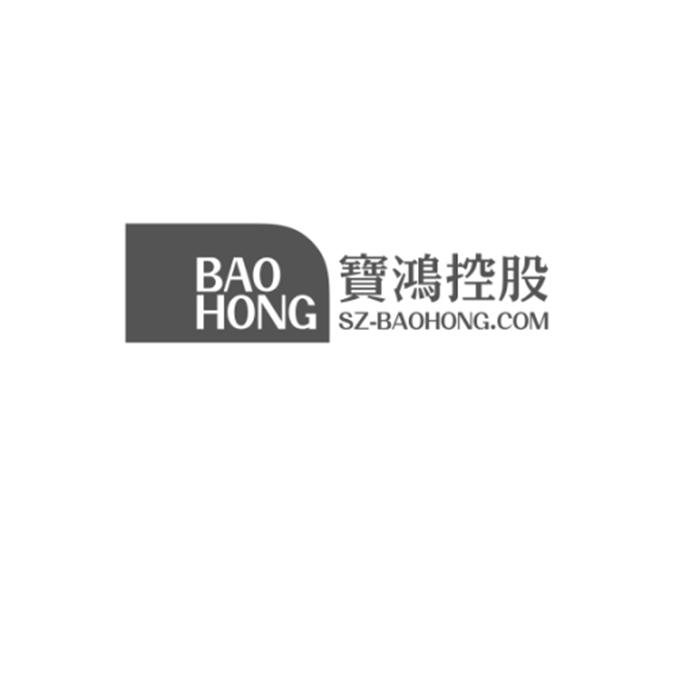 宝鸿控股 baohong sz-baohong.com