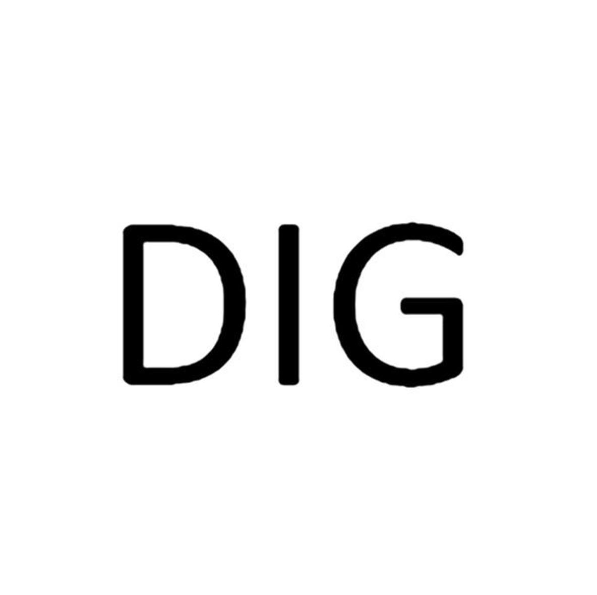 dig