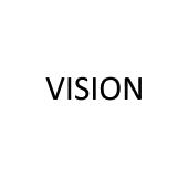 vision
