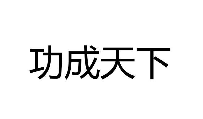 功成天下