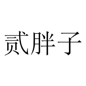 stout_注册号51034752_商标注册查询 - 天眼查