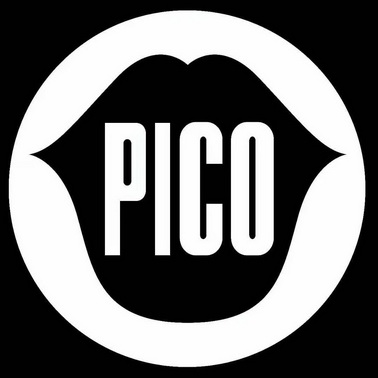 pico_注册号37649834_商标注册查询 - 天眼查