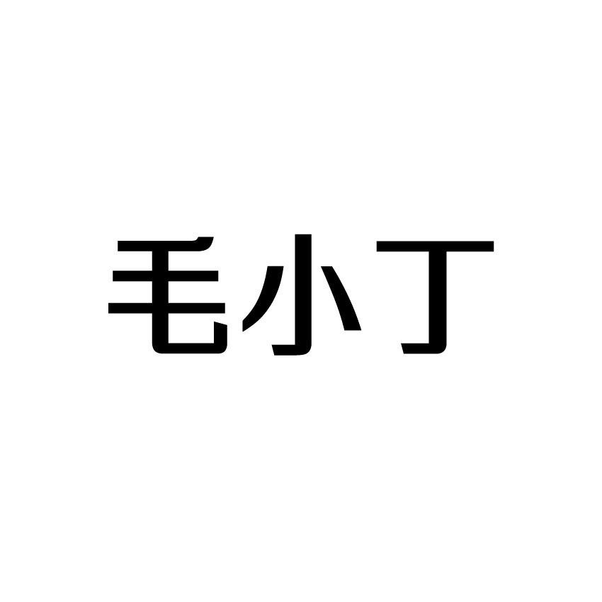 合肥宸翊商贸有限公司商标毛小丁（09类）商标转让费用及联系方式