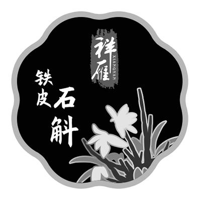 祥雁铁皮石斛