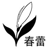 春蕾