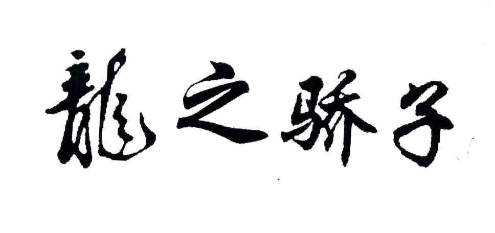 宋丽曲谱_宋丽写真集(4)