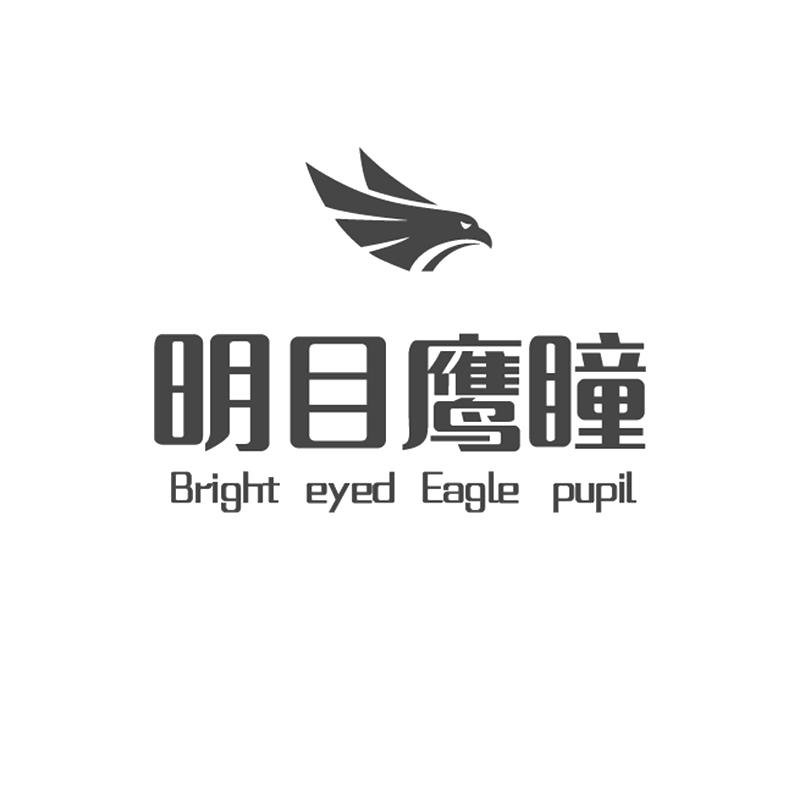 明目鹰瞳;bright eyed eagle pupil