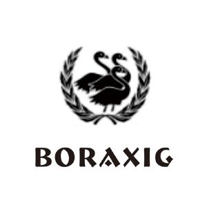 进贤县广青商务策划信息咨询中心商标BORAXIG（10类）多少钱？