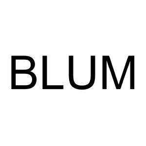 blum_注册号g1171363_商标注册查询 - 天眼查