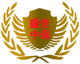 中保(北京)保安服务有限公司