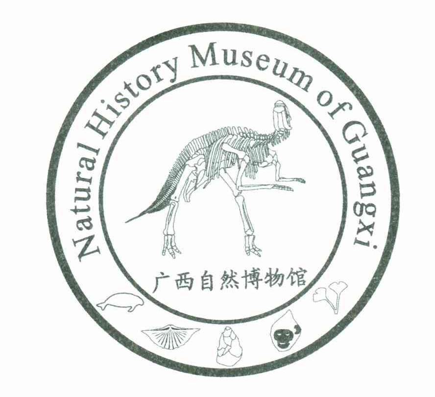 廣西自然博物館;natural history museum of guangxi