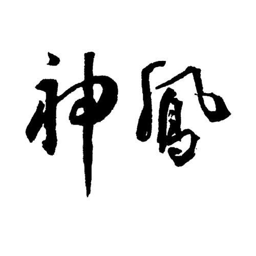 在手机上查看 商标详情