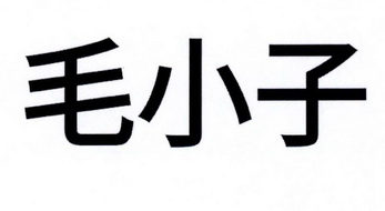 毛小子