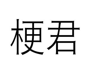 范玉玲商标梗君（09类）商标转让流程及费用