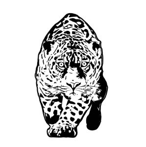 厦门速豹体育用品有限公司_【信用信息_诉讼