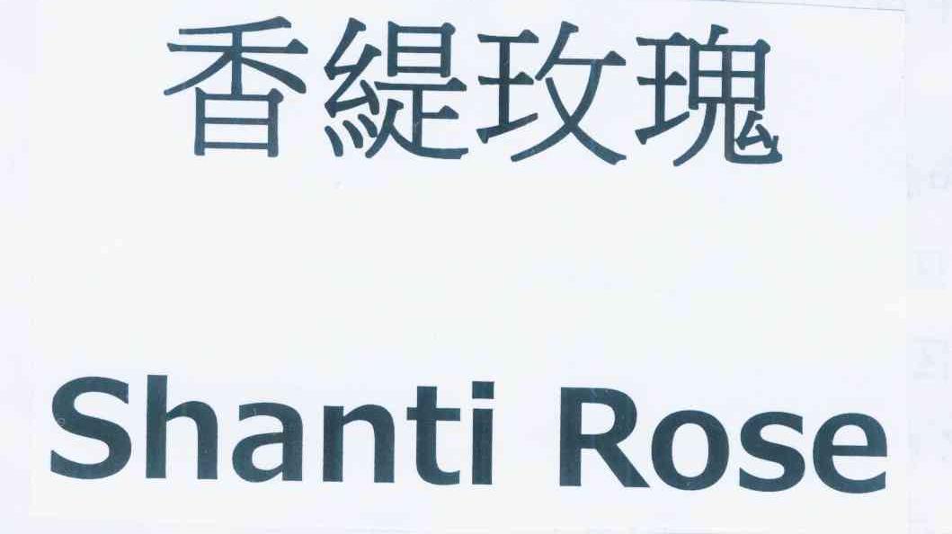 香缇玫瑰 shanti rose