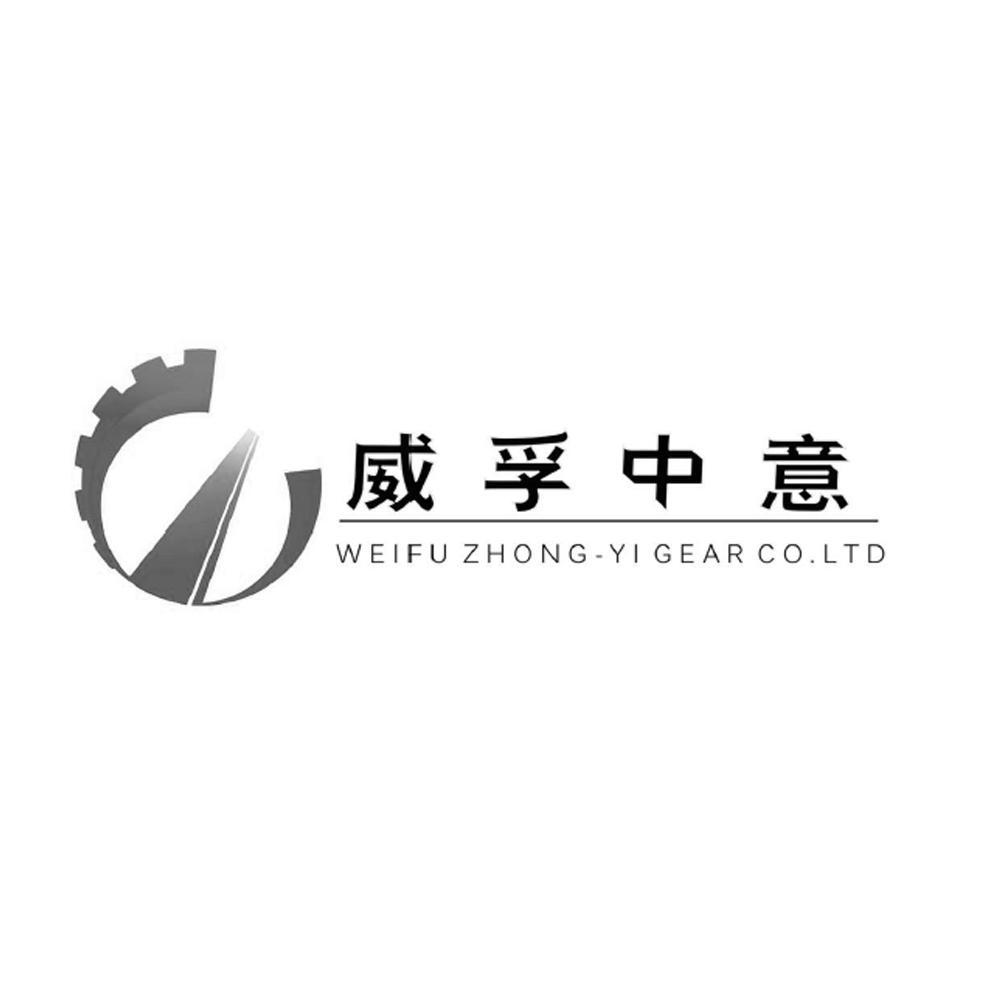 威孚中意 wei fu zhong-yi gear co.ltd