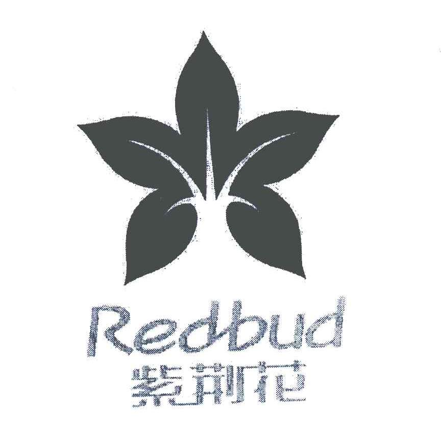 紫荆花redbud