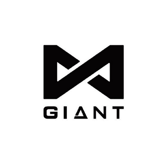 泰纶纺织机械有限公司ggiant等待驳回复审28-健身器材捷安特投资有限