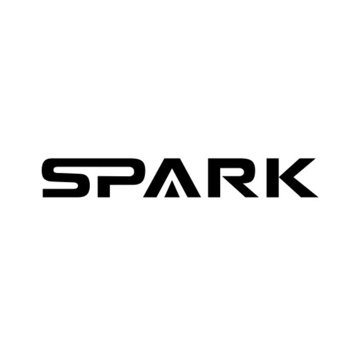 spark图标图片