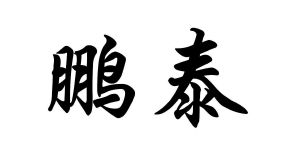 鹏泰百货logo图片