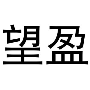 河南宁振网络科技有限公司商标望盈（29类）商标转让多少钱？