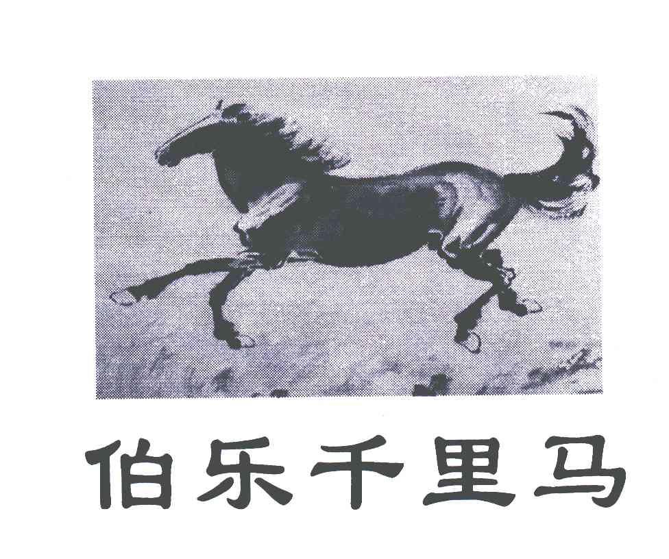 伯乐千里马