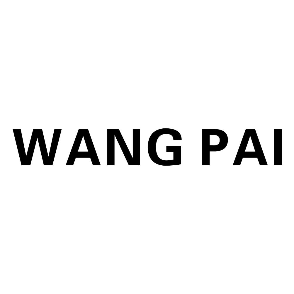 wang域名，网域名解析IP地址