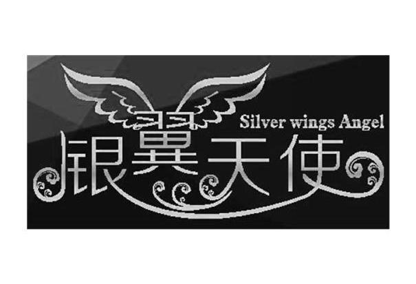 银翼天使 silver wings angel