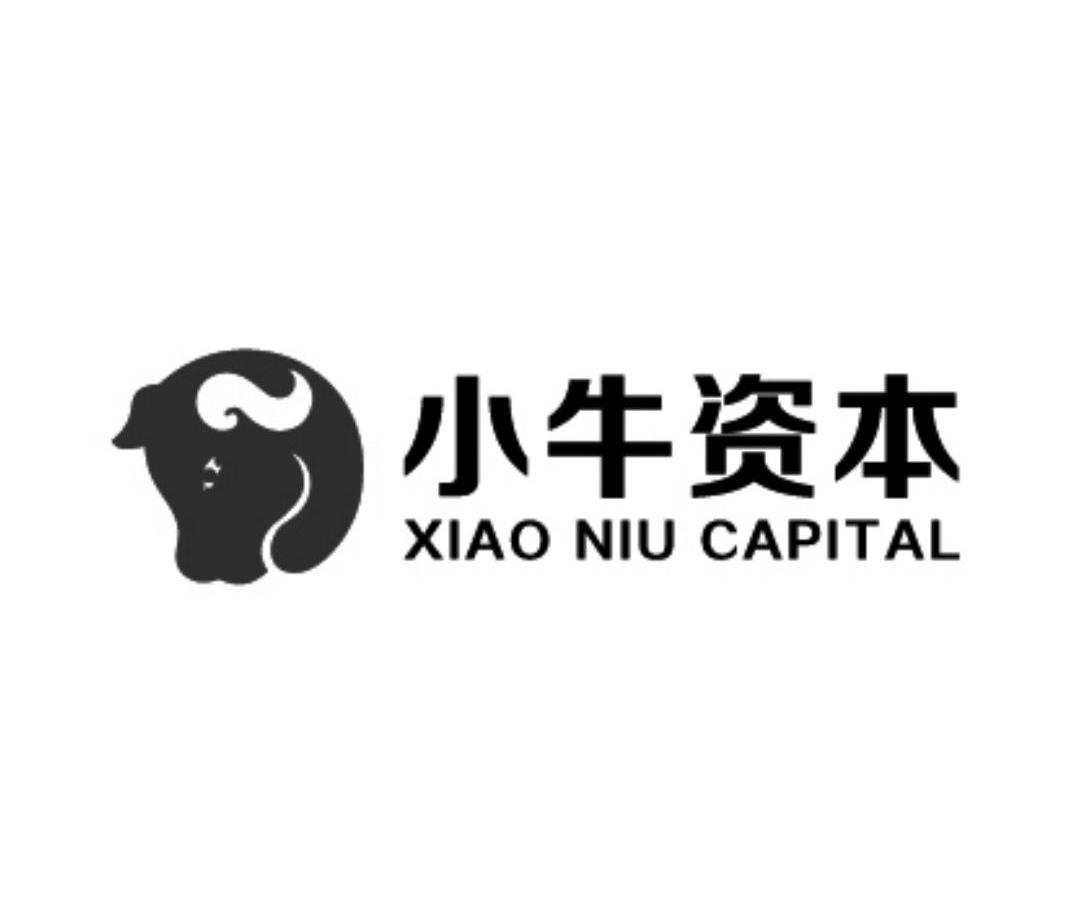 小牛資本 xiao niu capital