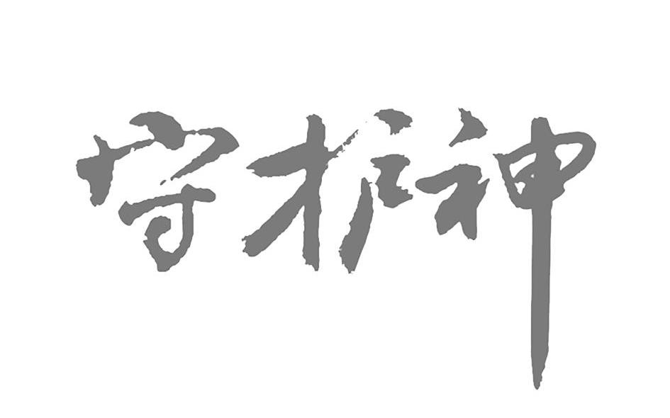 西安守护神电子技术有限公司