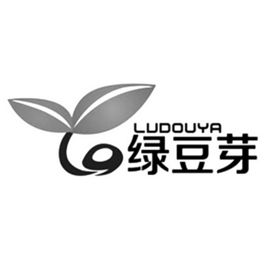 在手机上查看商标详情