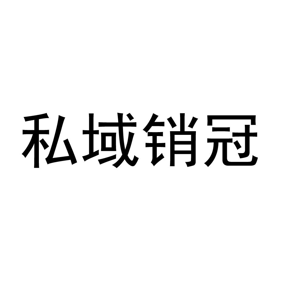 私域销冠
