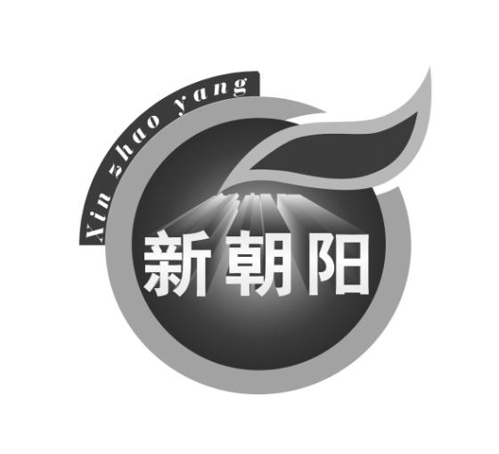 新朝阳