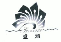 河南盛润置业集团有限公司