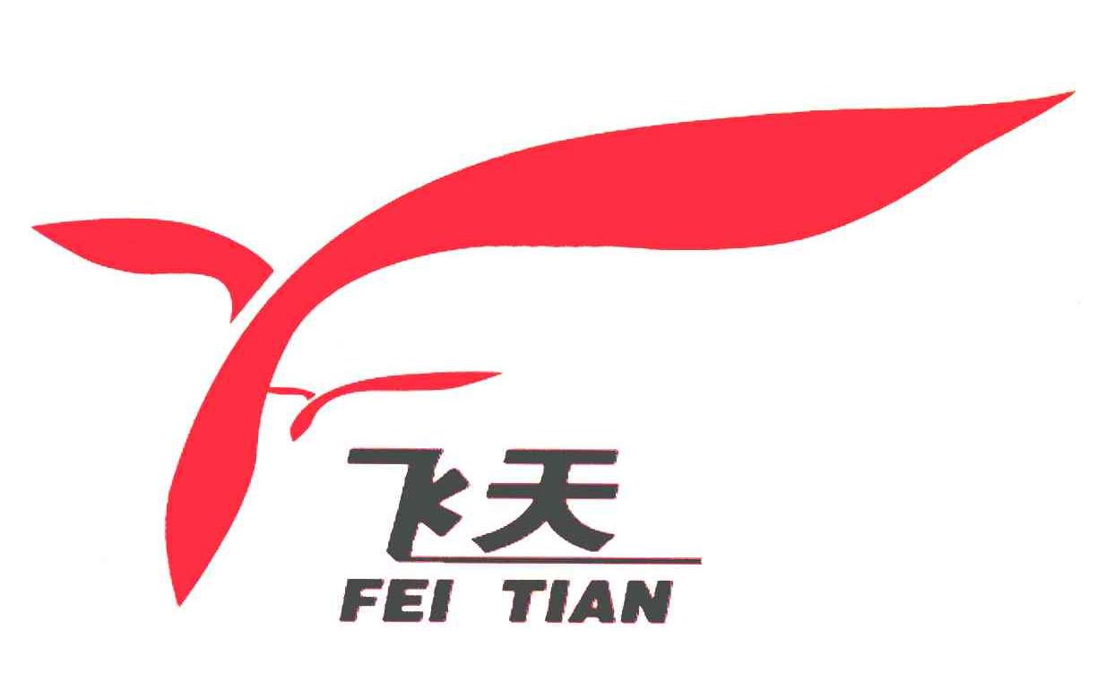 六盘水红果经济开发区飞天科技发展有限公司