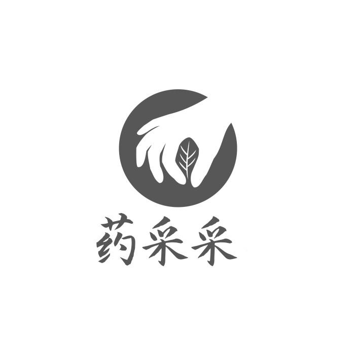 在手机上查看商标详情