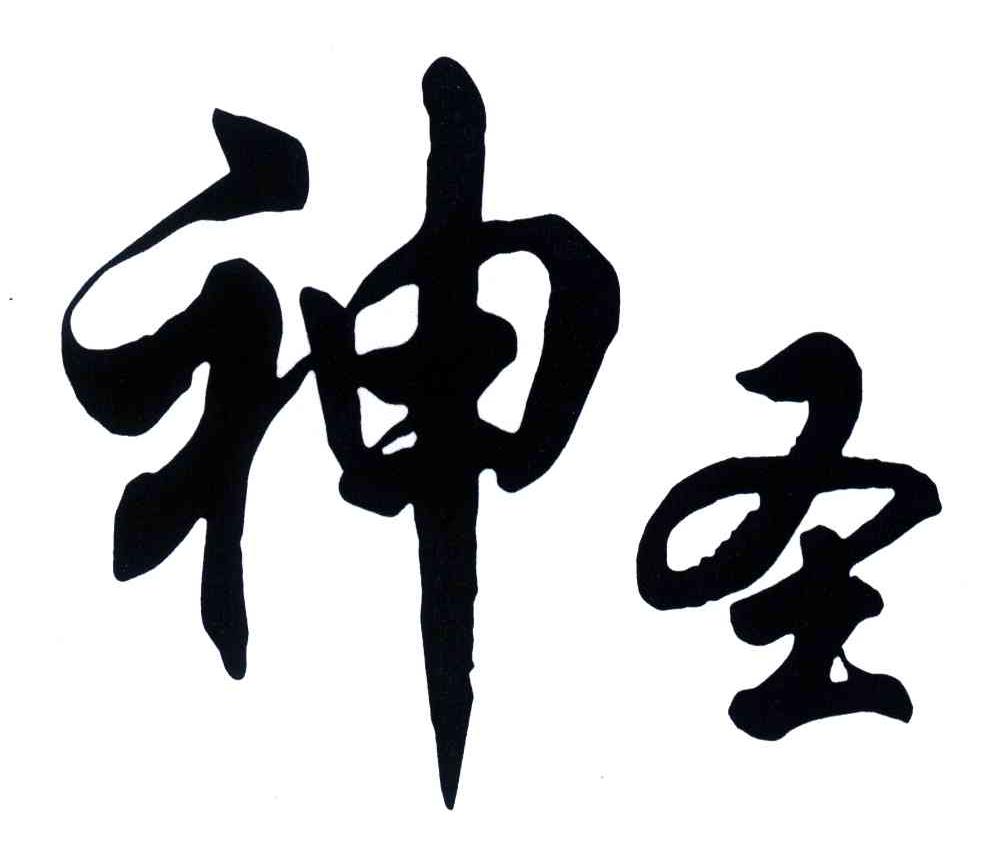 holiness_注册号3198108_商标注册查询 - 天眼查