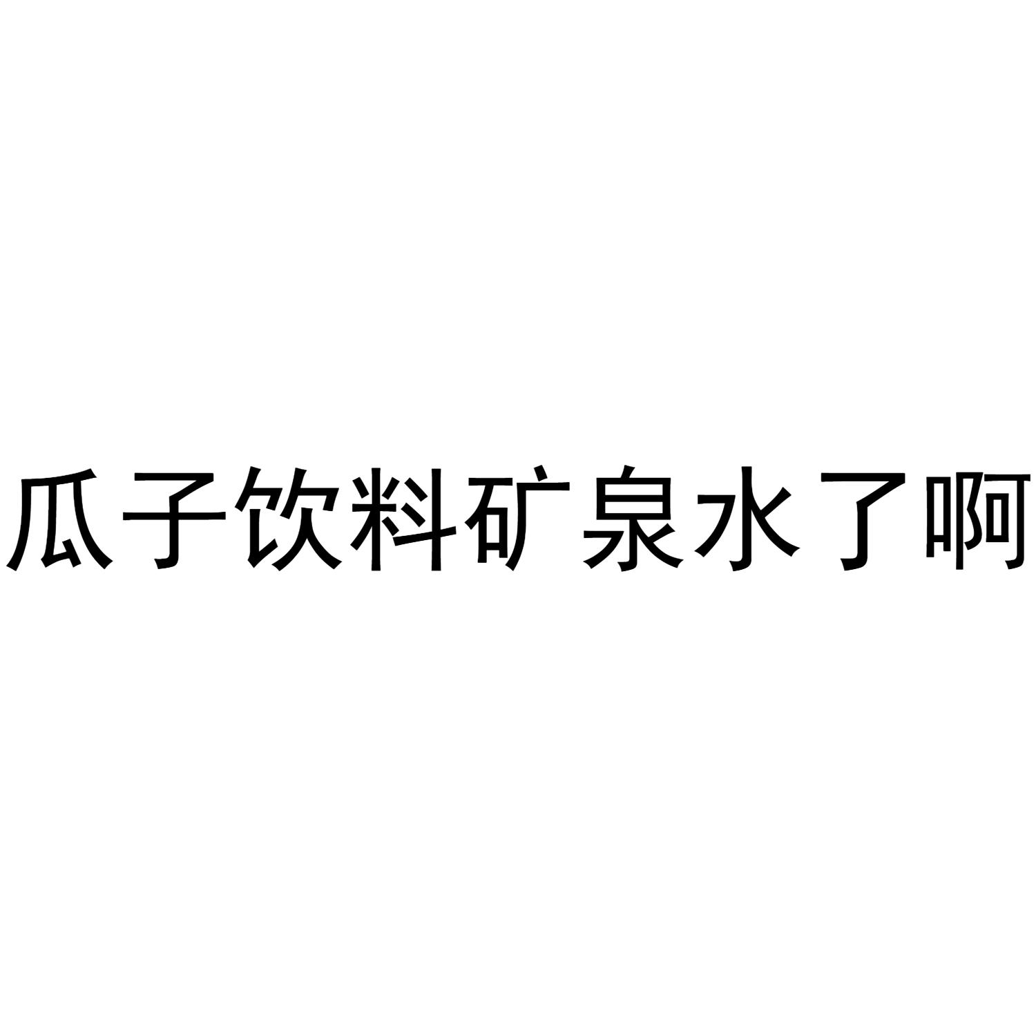 瓜子饮料矿泉水了啊