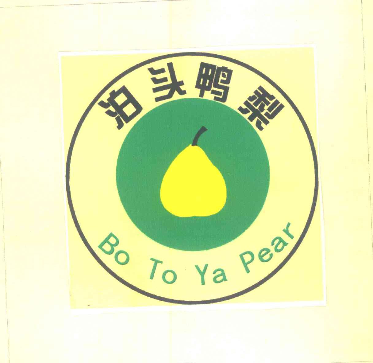 泊頭鴨梨;bo to ya pear