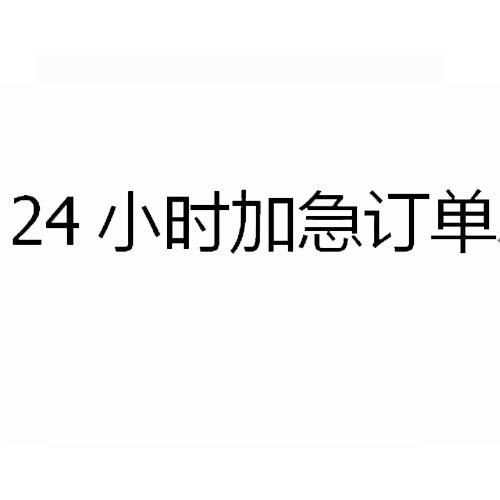 小时加急订单 24