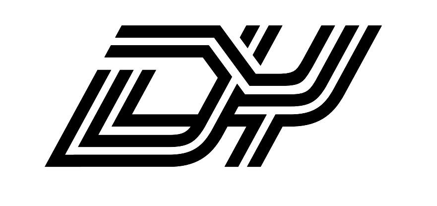 dy是什么意思  第1张
