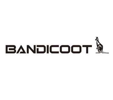 bandicoot
