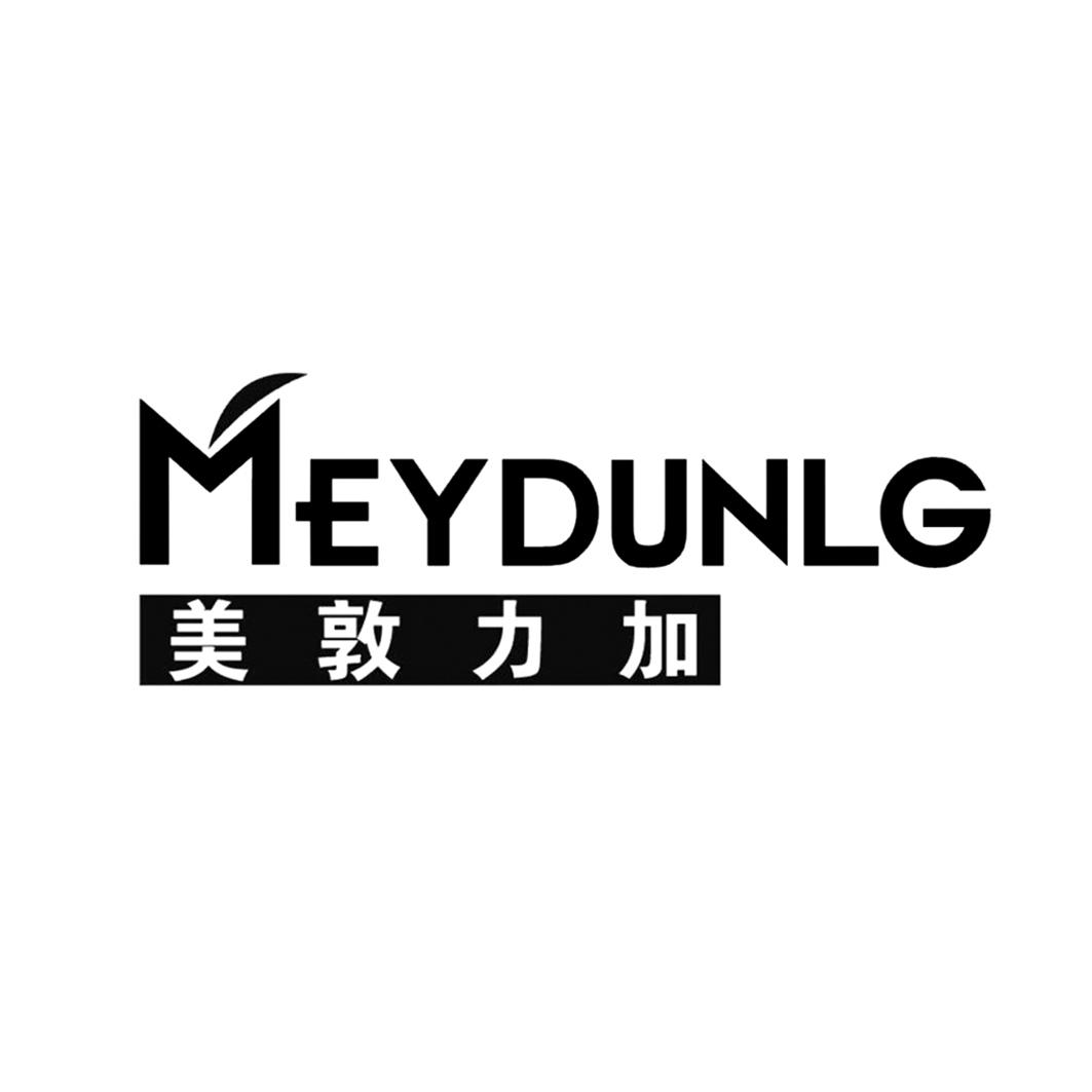 美敦力加;meydunlg